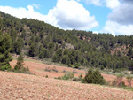   Afloramientos de Aragonito. La Pesquera/Enguidanos. Cuenca