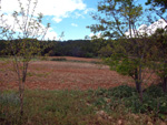   Afloramientos de Aragonito. La Pesquera/Enguidanos. Cuenca