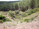    Afloramientos de Aragonito. La Pesquera/Enguidanos. Cuenca