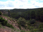  Afloramientos de Aragonito. La Pesquera/Enguidanos. Cuenca