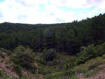   Afloramientos de Aragonito. La Pesquera/Enguidanos. Cuenca