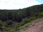  Afloramientos de Aragonito. La Pesquera/Enguidanos. Cuenca