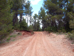  Afloramientos de Aragonito. La Pesquera/Enguidanos. Cuenca