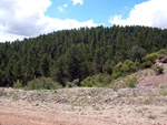  Afloramientos de Aragonito. La Pesquera/Enguidanos. Cuenca