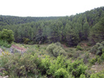   Afloramientos de Aragonito. La Pesquera/Enguidanos. Cuenca