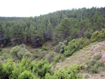   Afloramientos de Aragonito. La Pesquera/Enguidanos. Cuenca