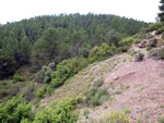   Afloramientos de Aragonito. La Pesquera/Enguidanos. Cuenca