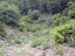   Afloramientos de Aragonito. La Pesquera/Enguidanos. Cuenca