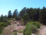  Afloramientos de Aragonito. La Pesquera/Enguidanos. Cuenca