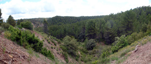 Afloramientos de Aragonito. La Pesquera/Enguidanos. Cuenca