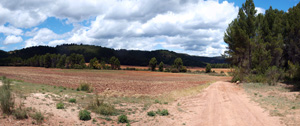 Afloramientos de Aragonito. La Pesquera/Enguidanos. Cuenca