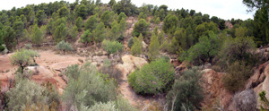 Afloramienteo de cuarzos moriones. Naquera. Valencia