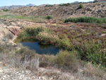 Antigua explotación de Arcilla. Alrededores camino real de Castalla. Moralet. Alicante