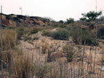 Afloramientos del Trias. Rambla de Rambuchar. Moralet. Alicante