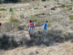   Afloramientos del Trias. Rambla de Rambuchar. Moralet. Alicante