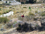   Afloramientos del Trias. Rambla de Rambuchar. Moralet. Alicante