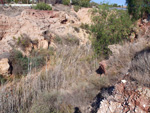 Afloramientos del Trias. Rambla de Rambuchar. Moralet. Alicante