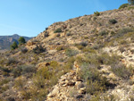 Minas de Ocre de Serra Pelada. El Sabinar. San Vicente del Raspeig