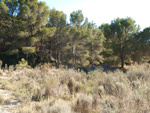  Vía Verde.  Agost. Alicante