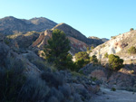   Vía Verde.  Agost. Alicante