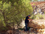  Cantera Romani. Concesión Algezares. Segorbe. Castellón