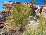 Cantera Romani. Concesión Algezares. Segorbe. Castellón