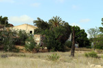 Finca el Sabinar.San Vicente del Raspeig