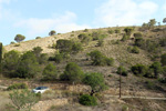 Finca el Sabinar.San Vicente del Raspeig