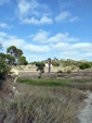 Finca el Sabinar.San Vicente del Raspeig