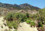   Rambla Carcelin. Ojos. Valle de Ricote. Murcia