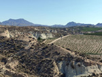 Barranco del Mulo. Ulea. Murcia