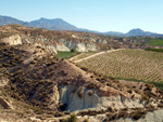  Barranco del Mulo. Ulea. Murcia