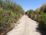  Rambla Carcelin. Ojos. Valle de Ricote. Murcia