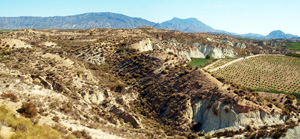 Barranco del Mulo. Ulea. Murcia