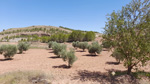 Afloramiento de aragonito. Casas de Ves. Albacete