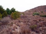 Mina Rómulo. Collado La Mina, Llano del Beal, Cartagena, Murcia Murcia