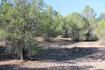 Cantera Fuentecilla, Cabezo del Polovar, Villena, Comarca Alto Vinalopó, Alicante 