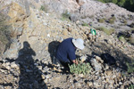 Cantera Fuentecilla, Cabezo del Polovar, Villena, Comarca Alto Vinalopó, Alicante 