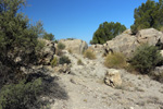 Cantera Fuentecilla, Cabezo del Polovar, Villena, Comarca Alto Vinalopó, Alicante 