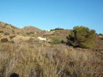 Barranco Las Nogueras. Campos de Golf, Atamaría, Cartagena, Murcia  