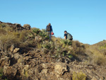 Barranco Las Nogueras. Campos de Golf, Atamaría, Cartagena, Murcia  