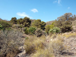    Barranco Las Nogueras. Campos de Golf, Atamaría, Cartagena, Murcia