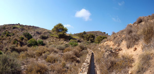 Barranco Las Nogueras. Campos de Golf, Atamaría, Cartagena, Murcia  