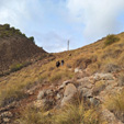 Mina Rómulo, Collado La Mina, Llano del Beal, Cartagena, Murcia 