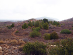 Mina Rómulo, Collado La Mina, Llano del Beal, Cartagena, Murcia 