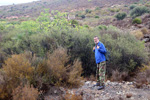 Mina Marisol. Barranco Las Nogueras, Campos de Golf, Atamaría, Cartagena, Murcia  