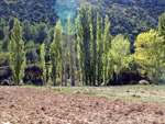 Pina de Montalgrao. Castellón