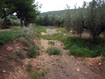 Doleritas de Altura. Castellón  