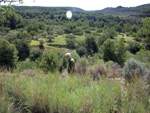   Doleritas de Altura. Castellón 