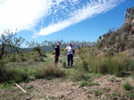 Cantera de Ofitas.  Castellón